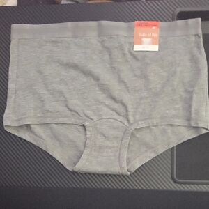 Nwt State Of Day Gray Brief XS